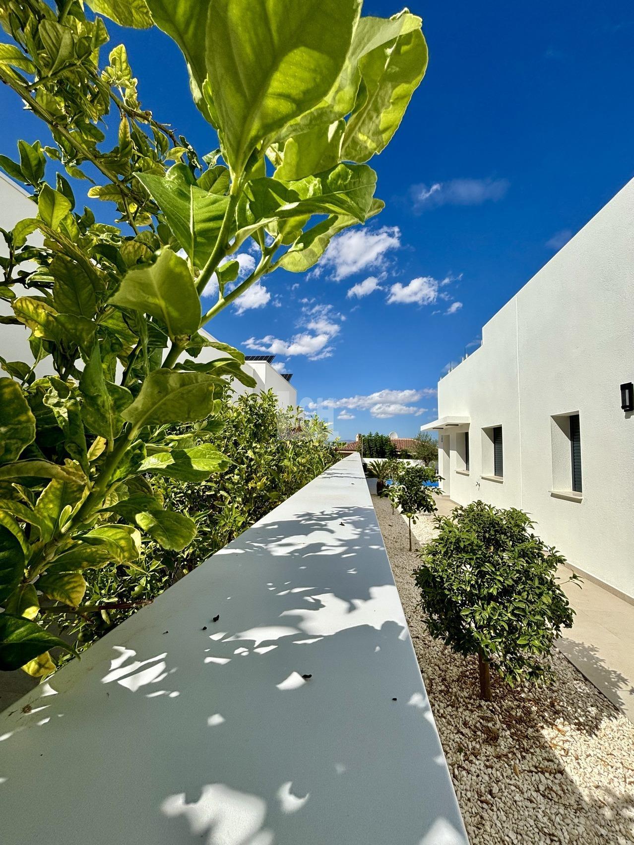 For sale of villa in Benijófar