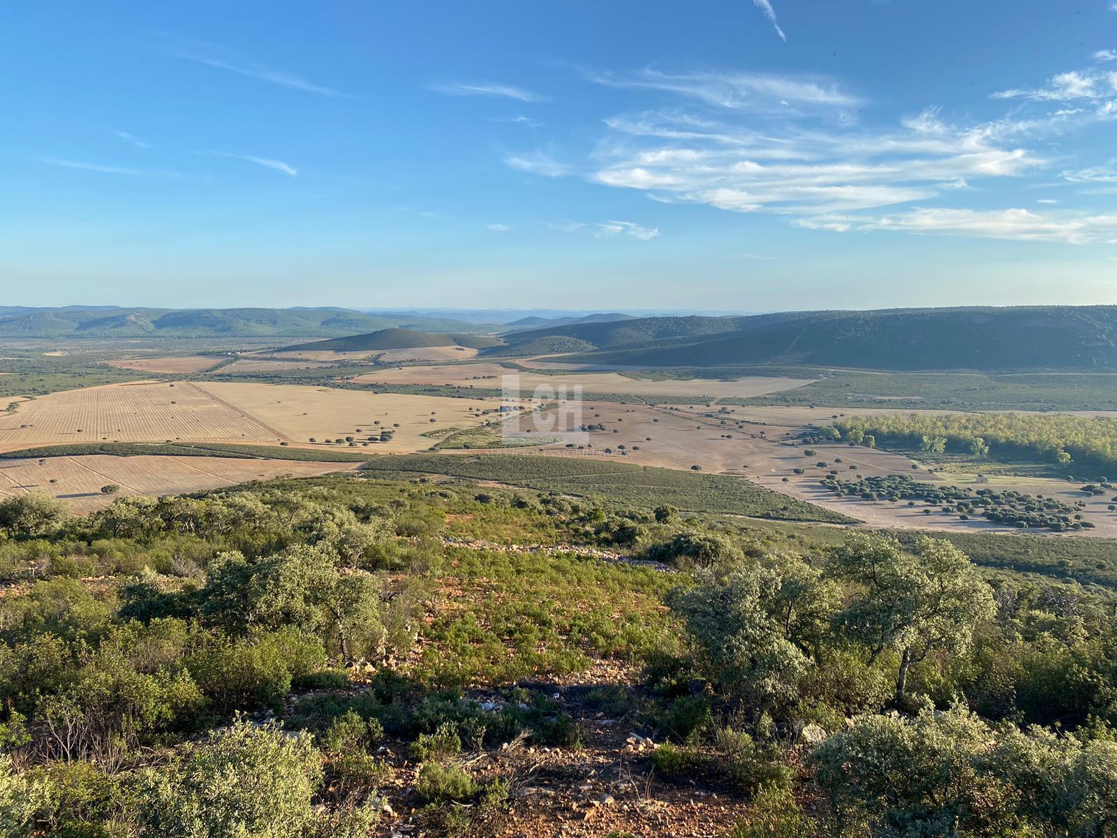 Vistas