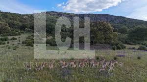 Venta de finca rústica en Alcázar de San Juan