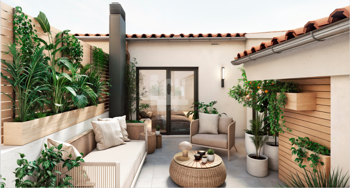 Terraza
