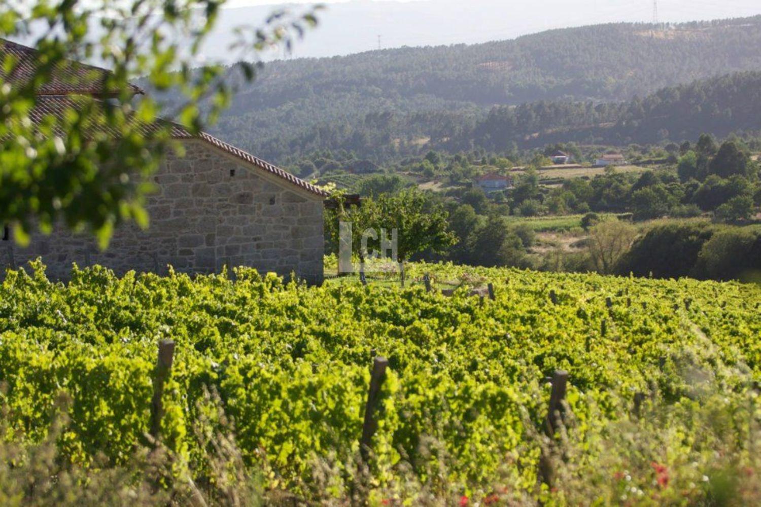 Venta de masía en Ourense