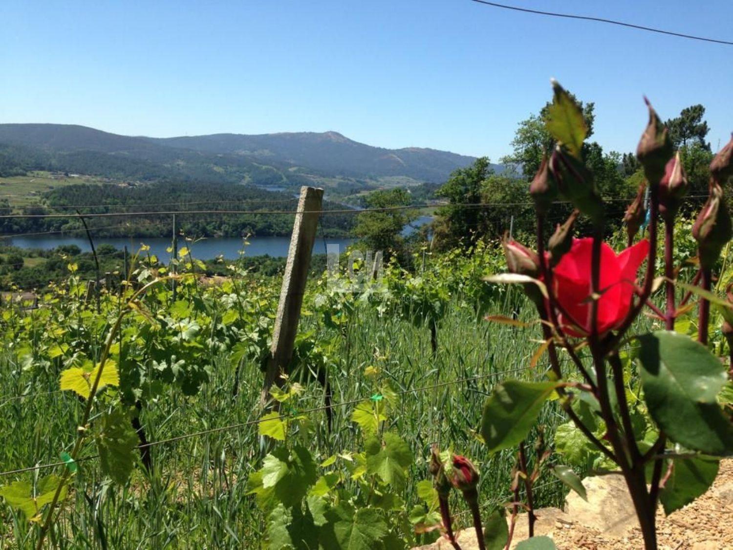 Venta de masía en Ourense