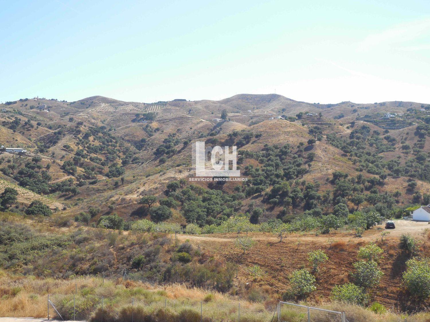 Vente de chalet dans Marbella