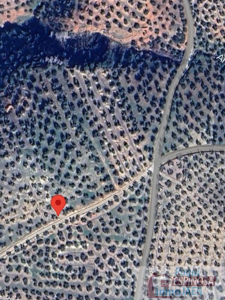 For sale of rural property in Torredonjimeno