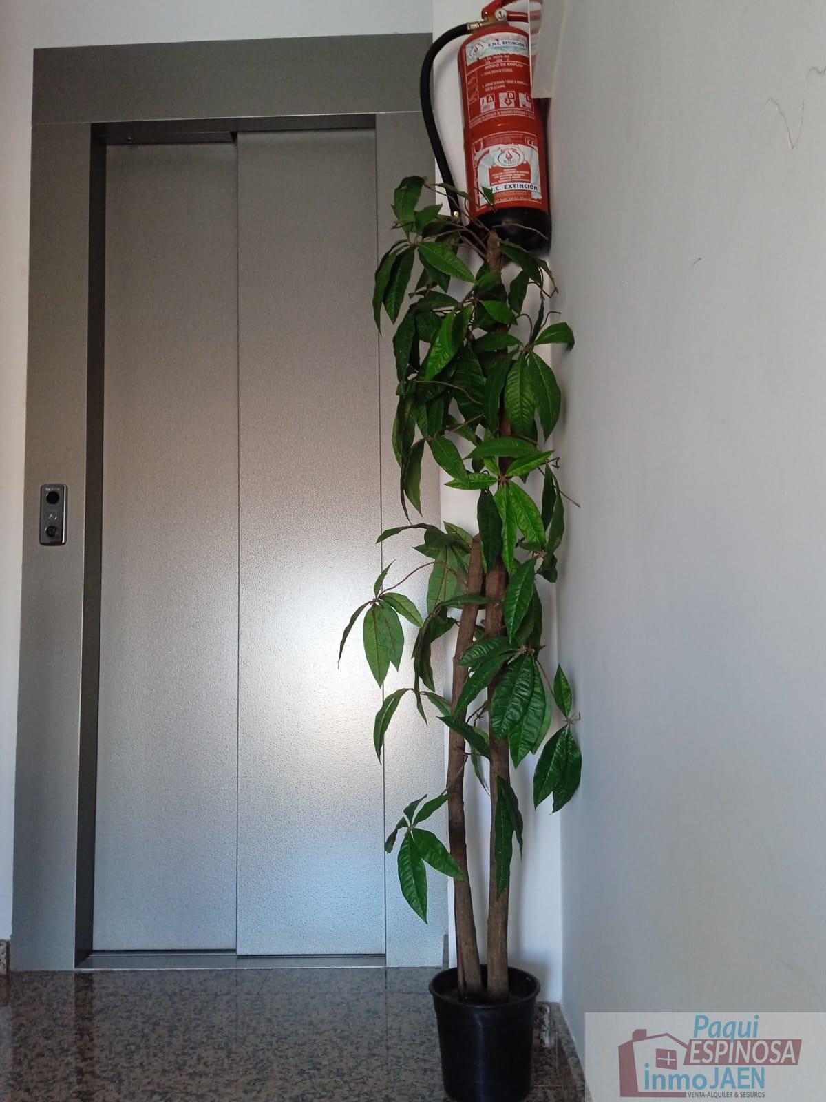 Venta de piso en Torredonjimeno