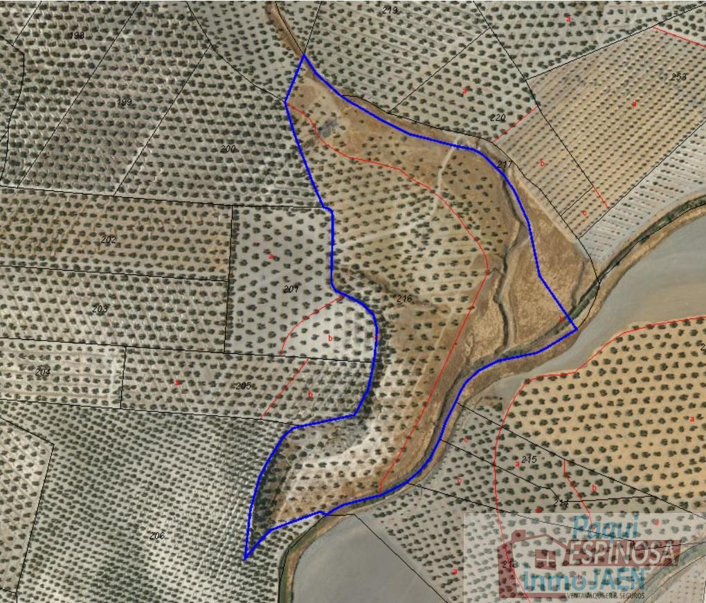 Venta de finca rústica en Porcuna