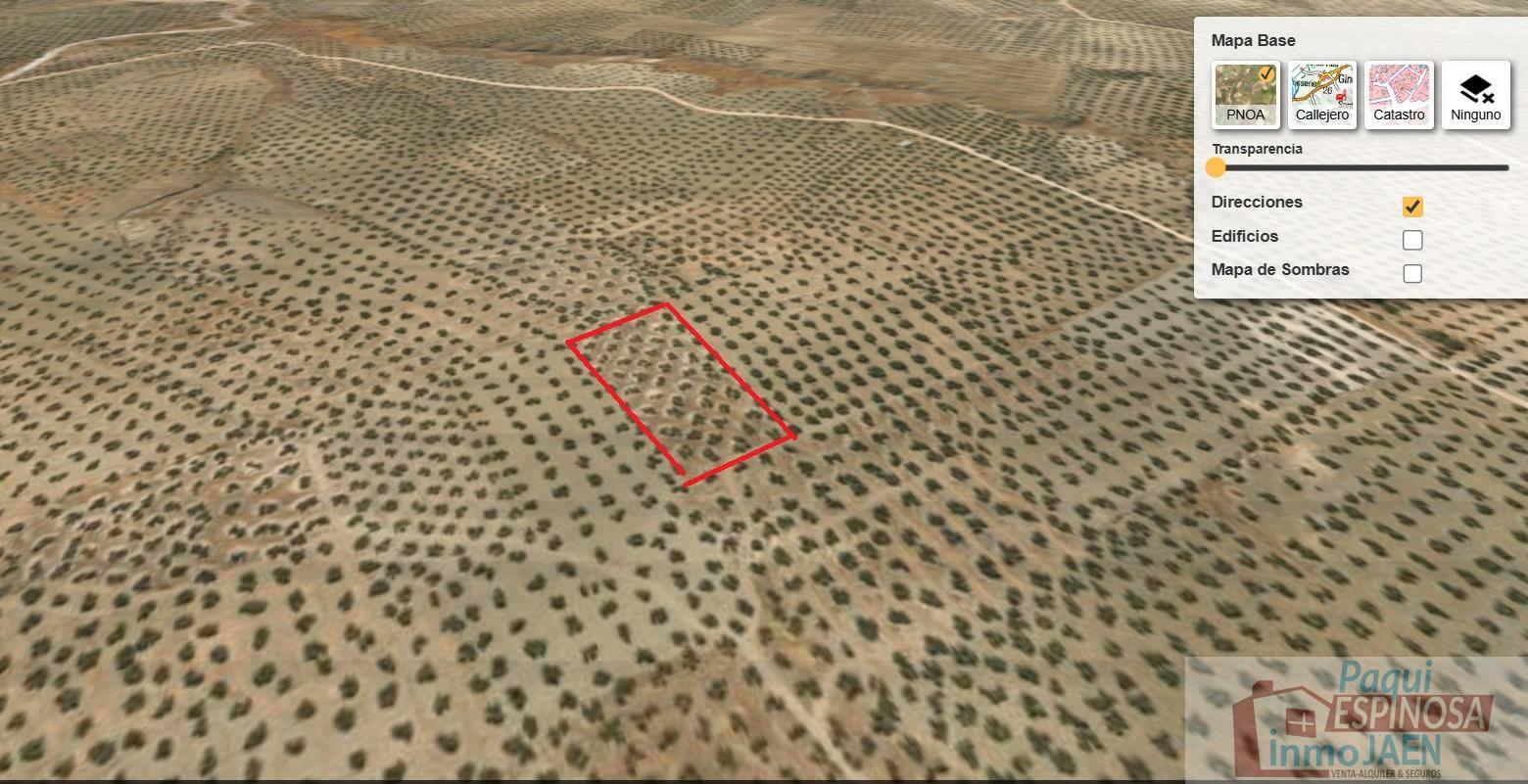 For sale of land in Torredonjimeno