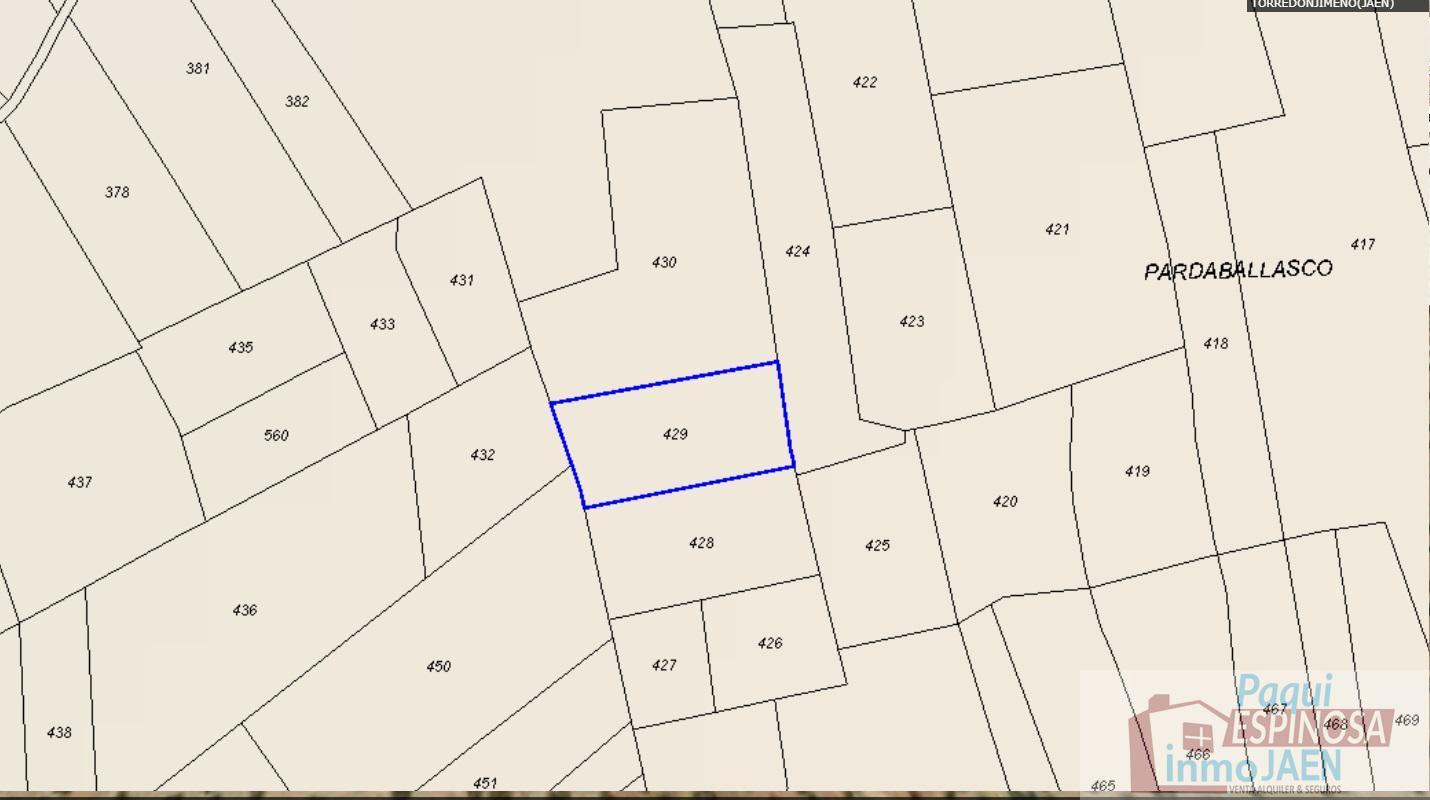 For sale of land in Torredonjimeno