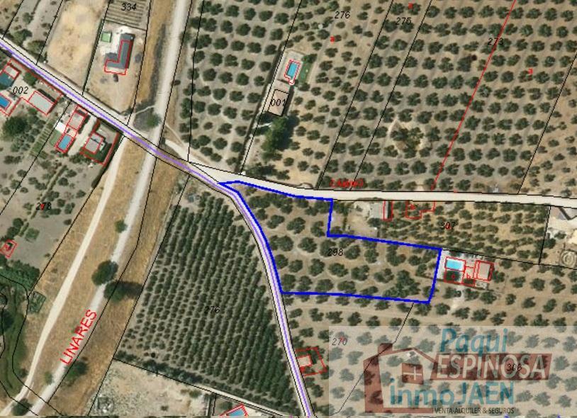 Venta de terreno en Torredonjimeno