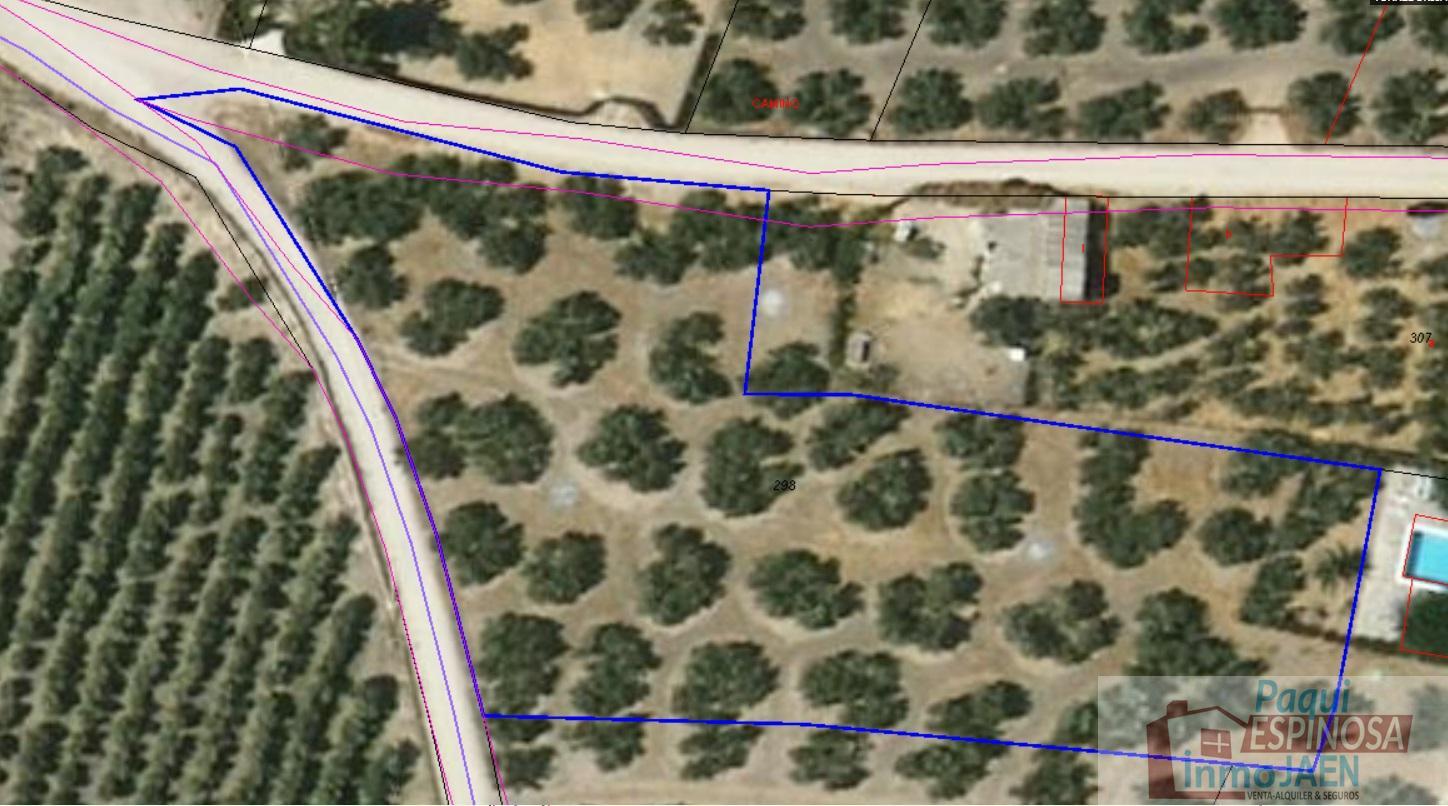 For sale of land in Torredonjimeno