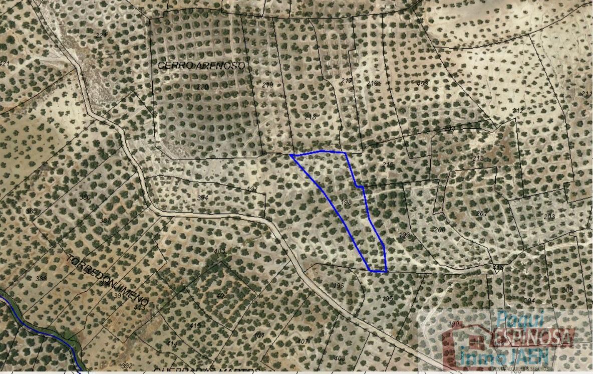 Venta de terreno en Torredonjimeno