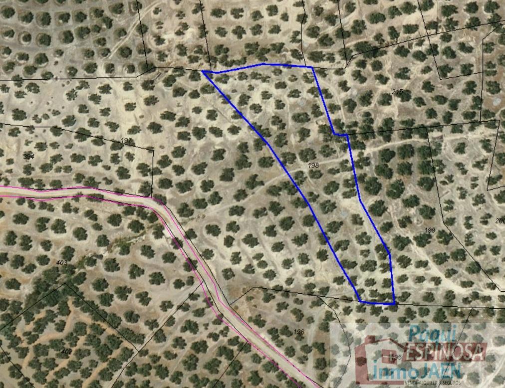 Venta de terreno en Torredonjimeno