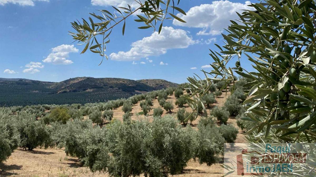 Venta de terreno en Jaén