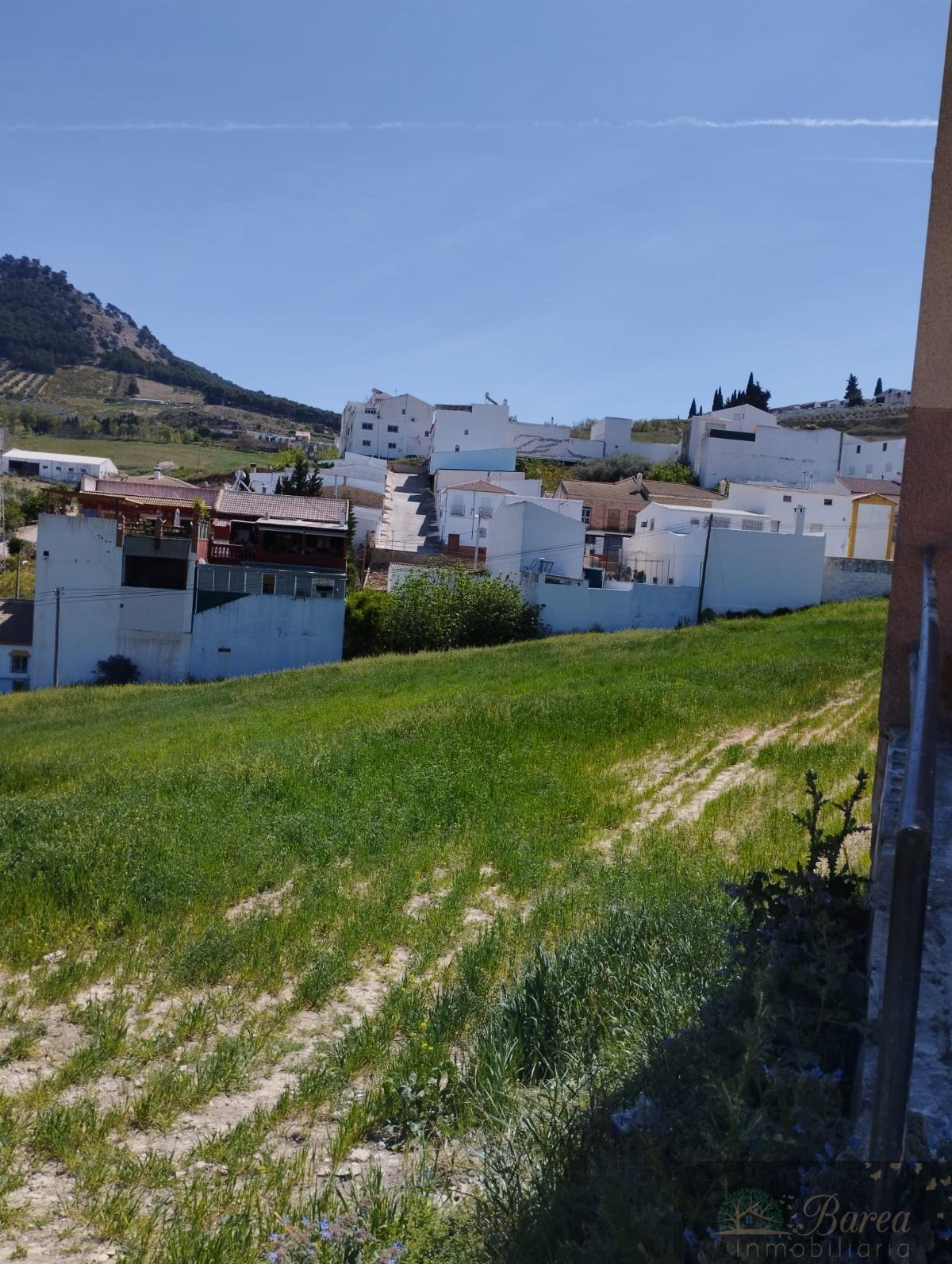 For sale of land in Rute