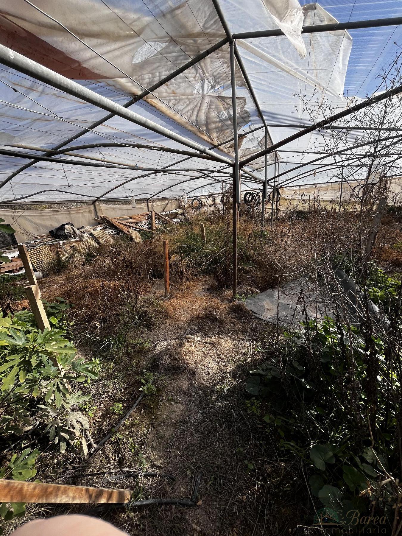 Venta de nave en Rute