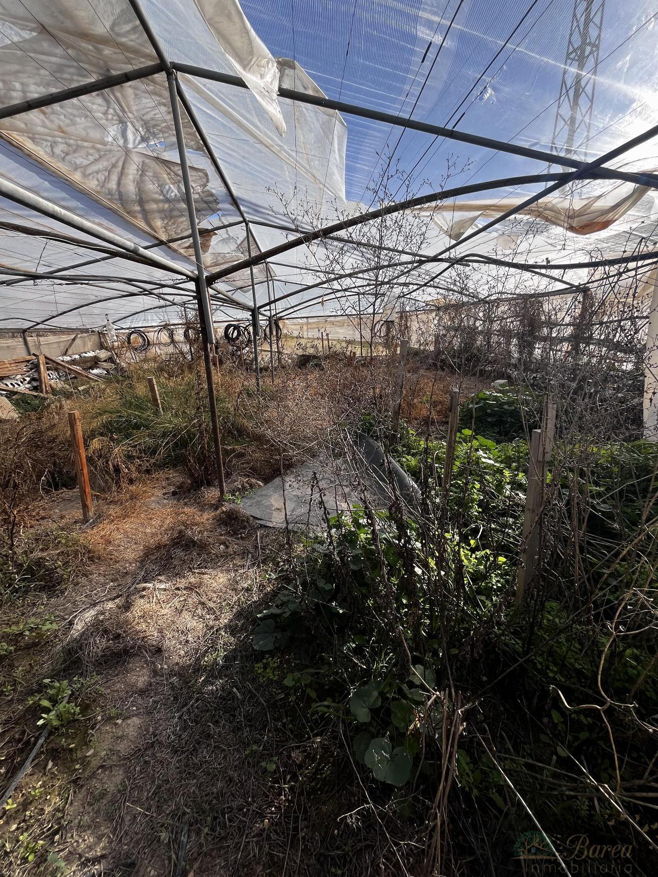 Venta de nave en Rute