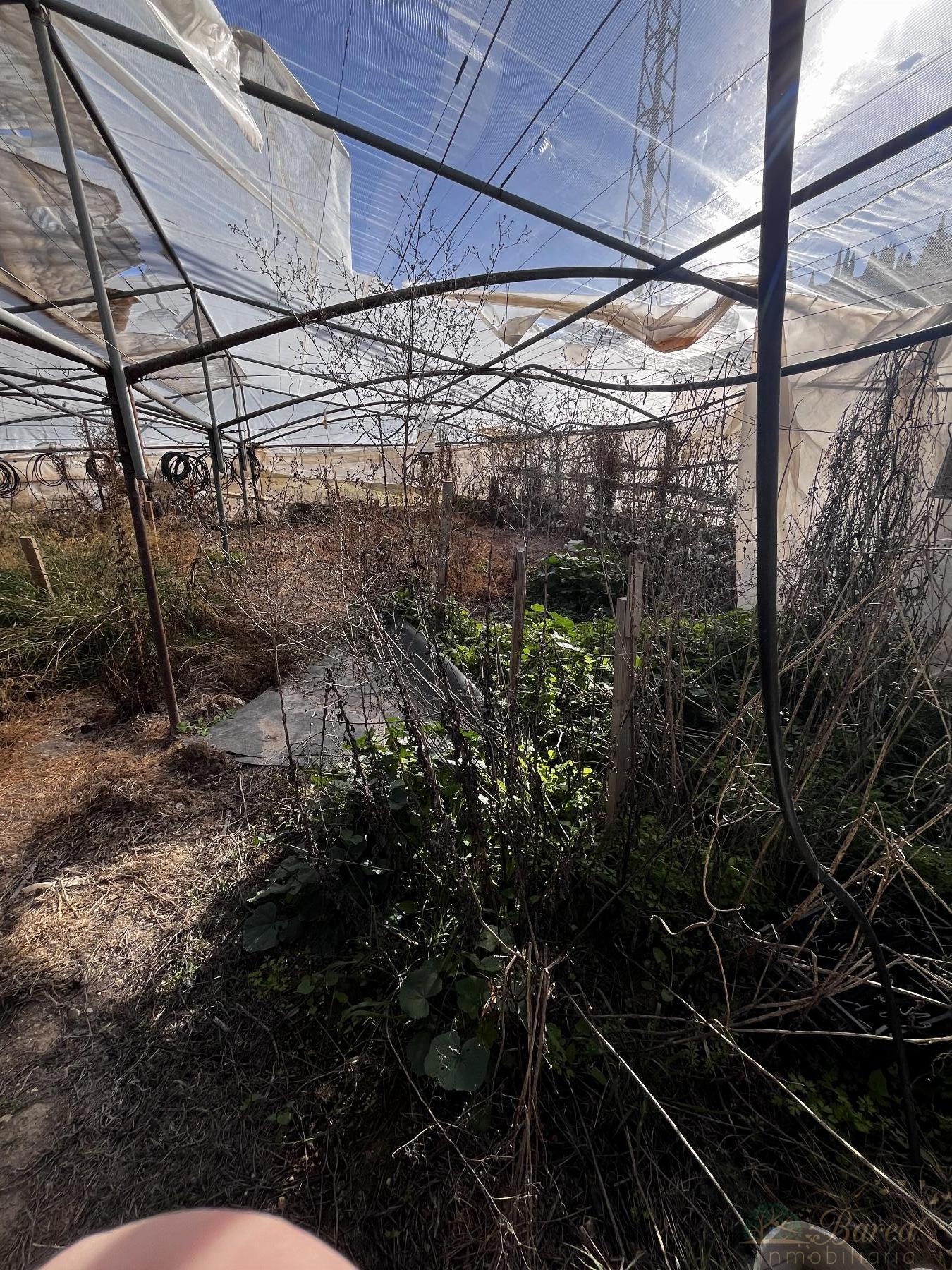 Venta de nave en Rute