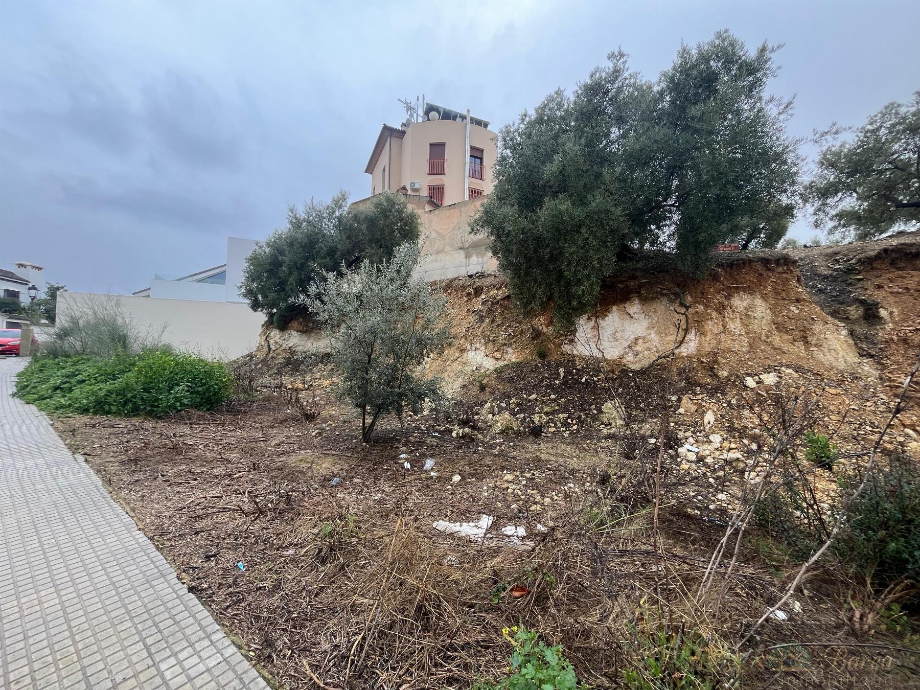 Köp av marken i Rute