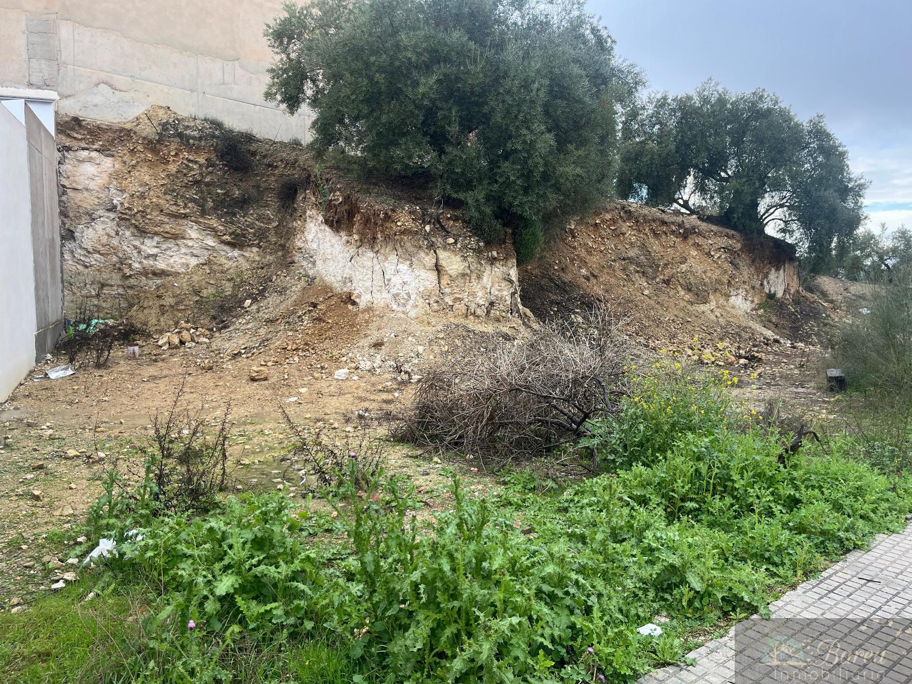 For sale of land in Rute