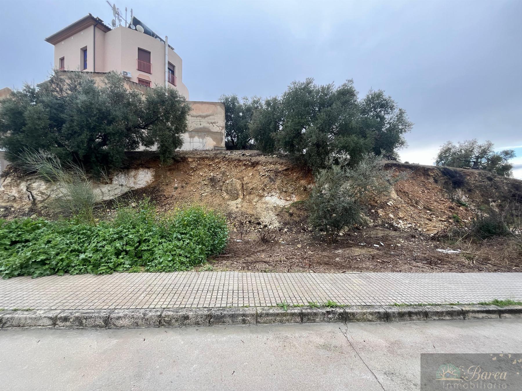 Köp av marken i Rute