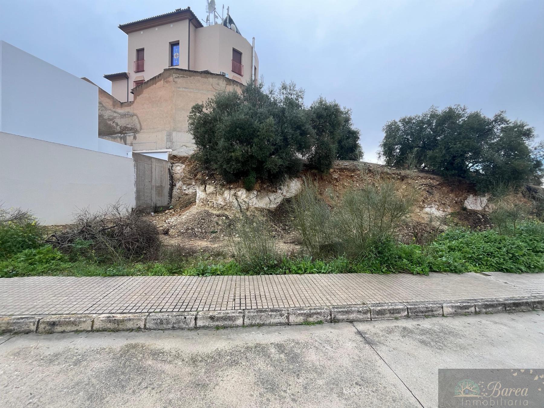 Köp av marken i Rute