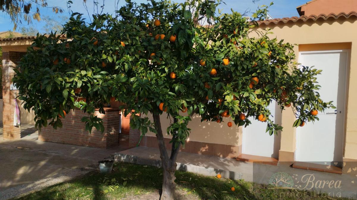 Salgai  txaleta  Lucena