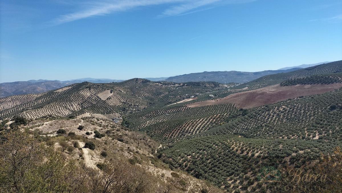 Venta de chalet en Iznájar