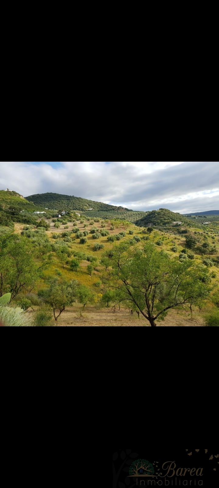 Venta de finca rústica en Iznájar