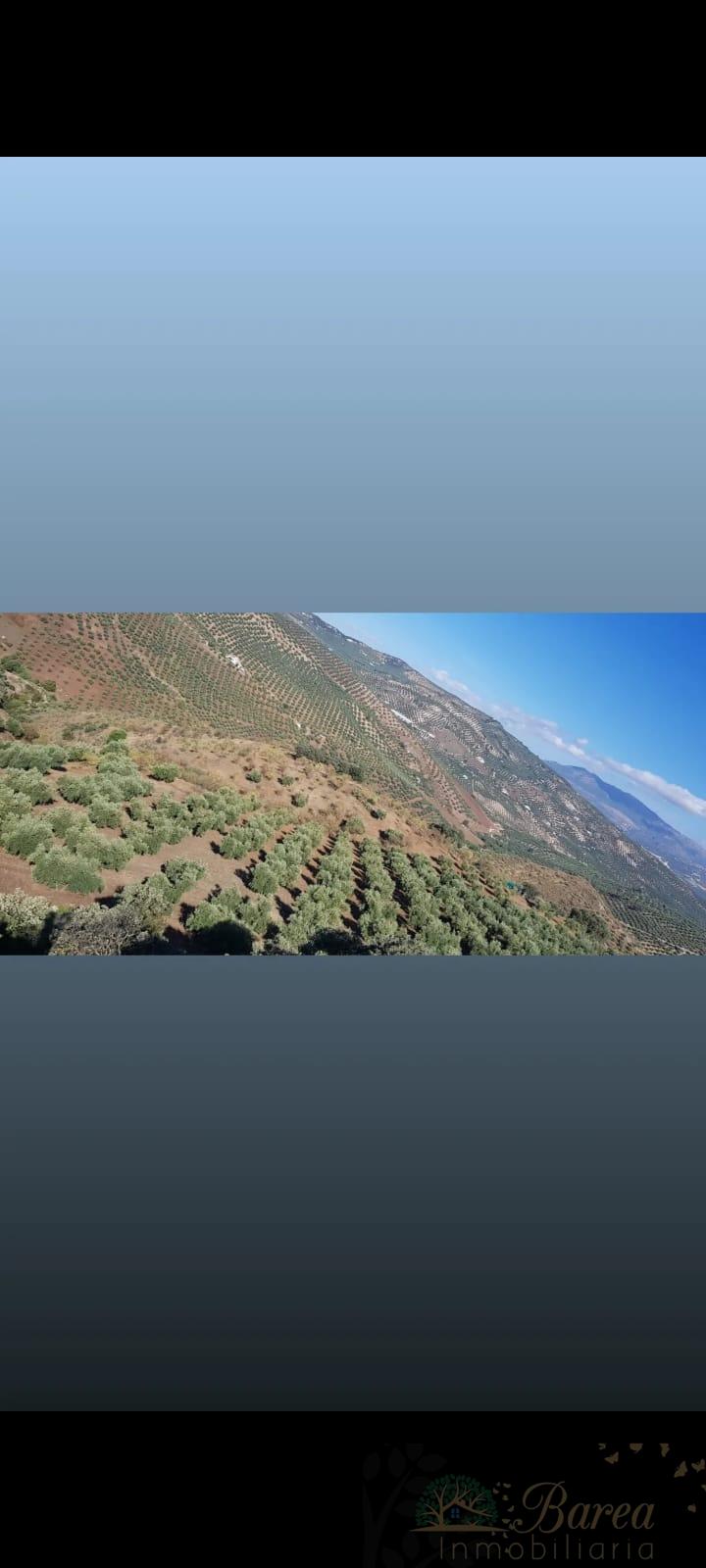 De vânzare din ferma rustica în Iznájar