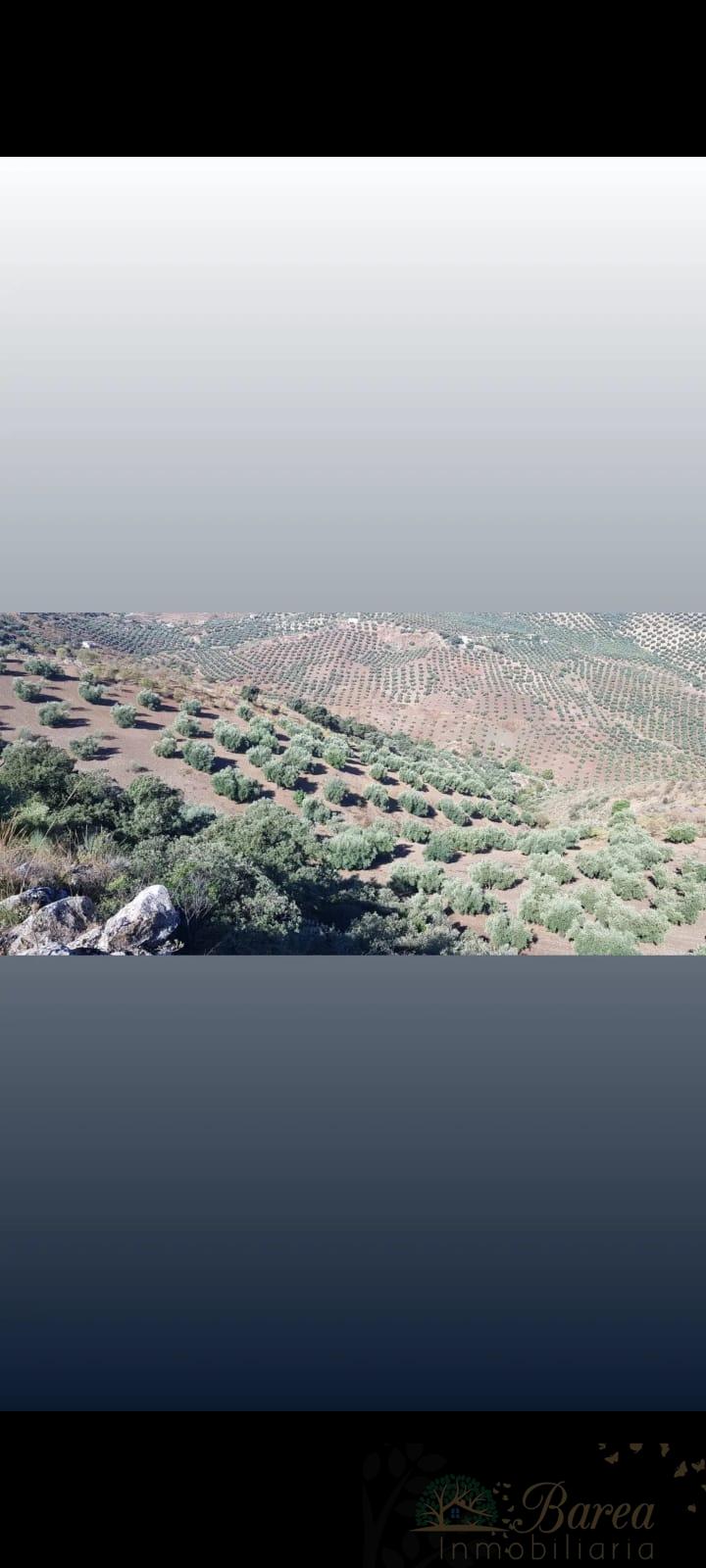 De vânzare din ferma rustica în Iznájar