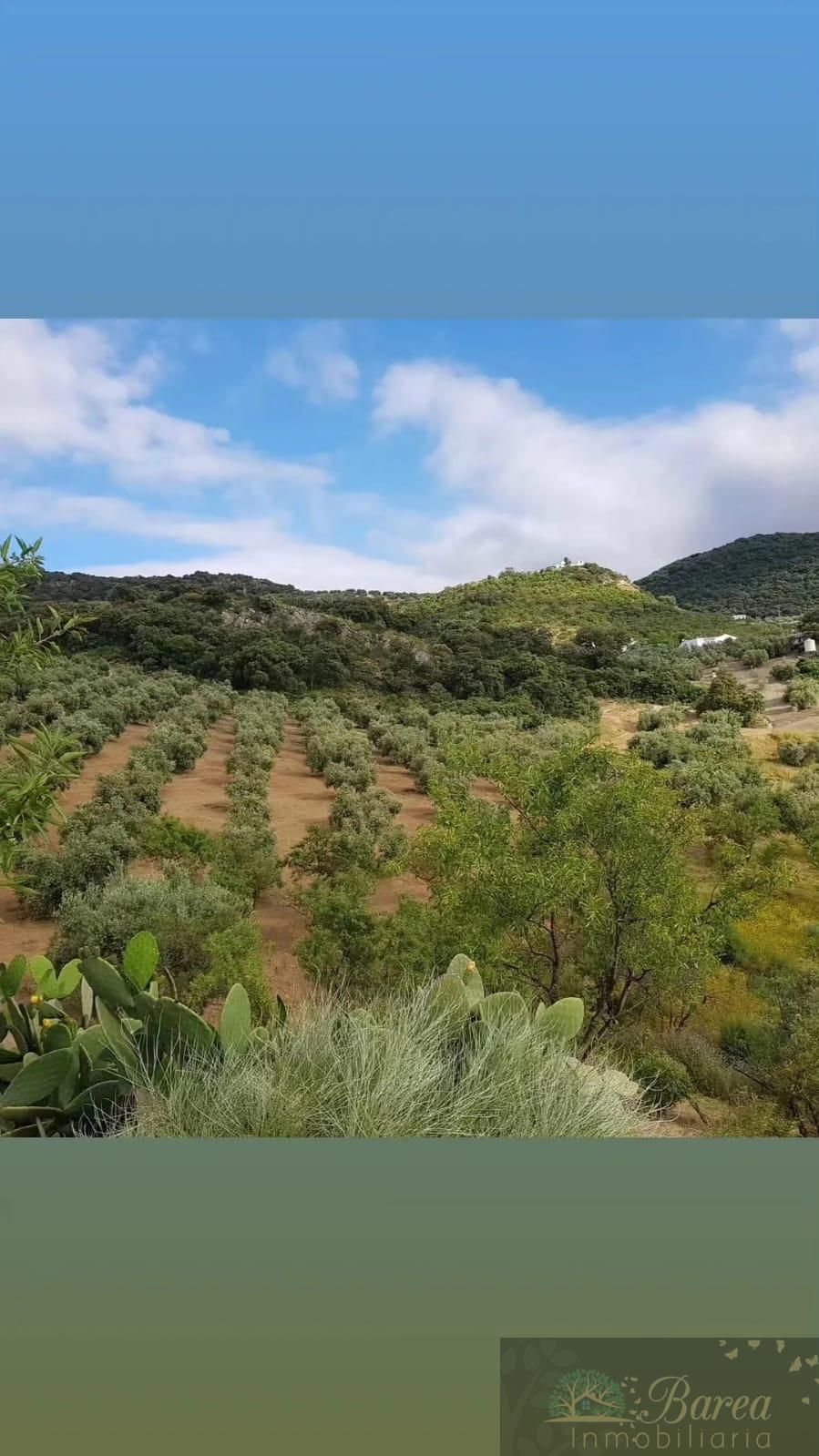 Venta de finca rústica en Iznájar