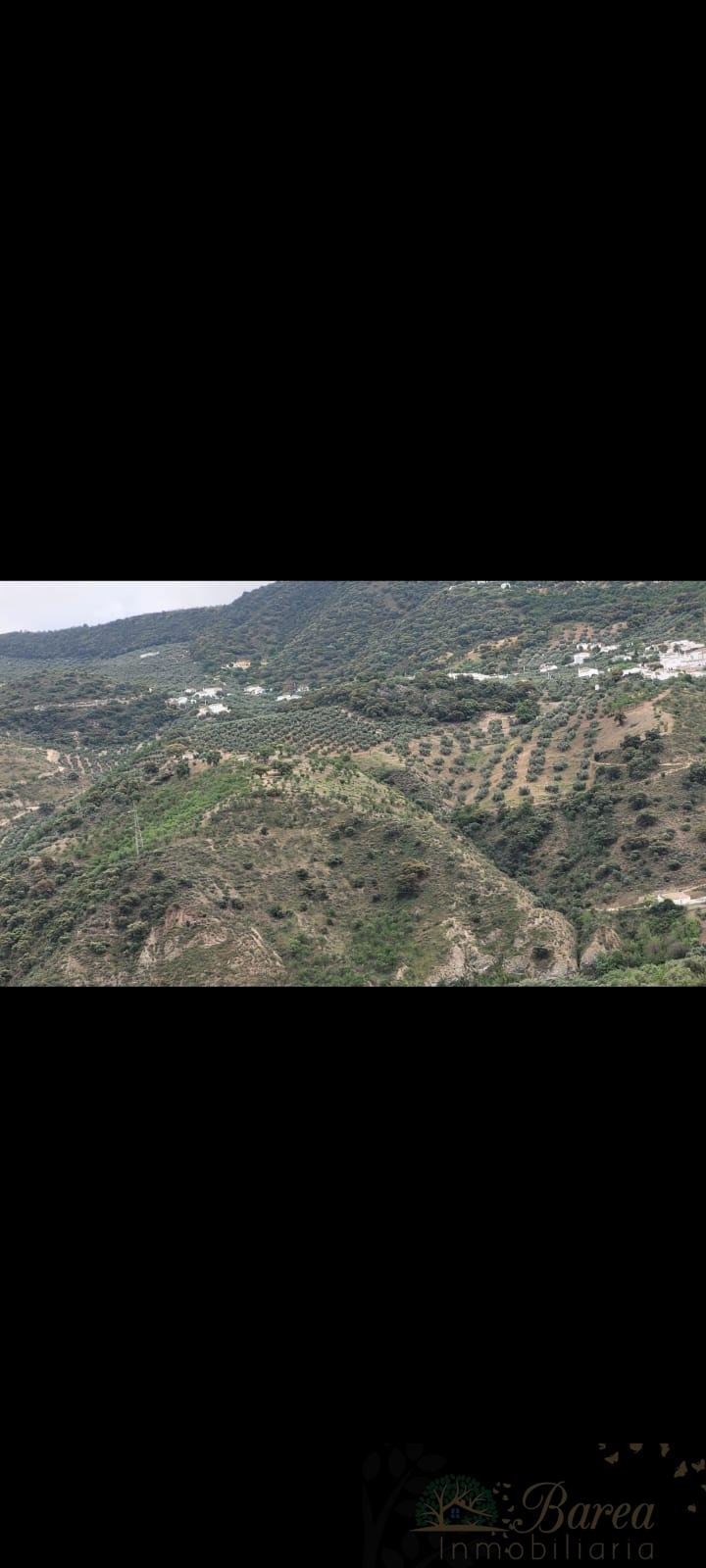 De vânzare din ferma rustica în Iznájar