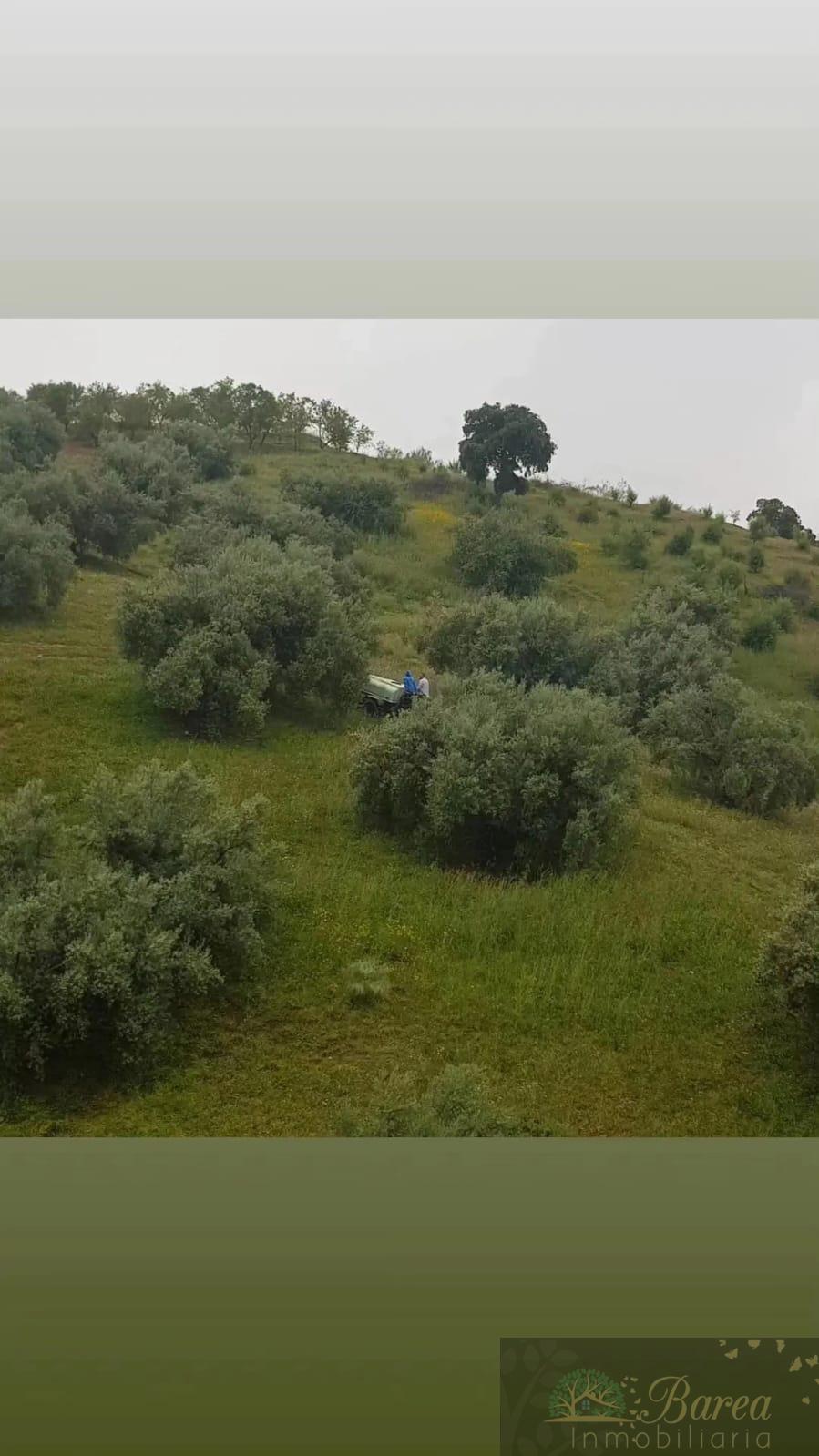 Venta de finca rústica en Iznájar