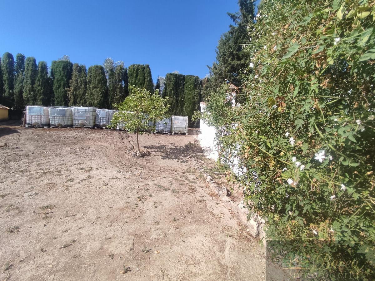 For sale of land in Rute