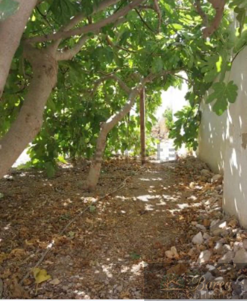 For sale of house in Rute