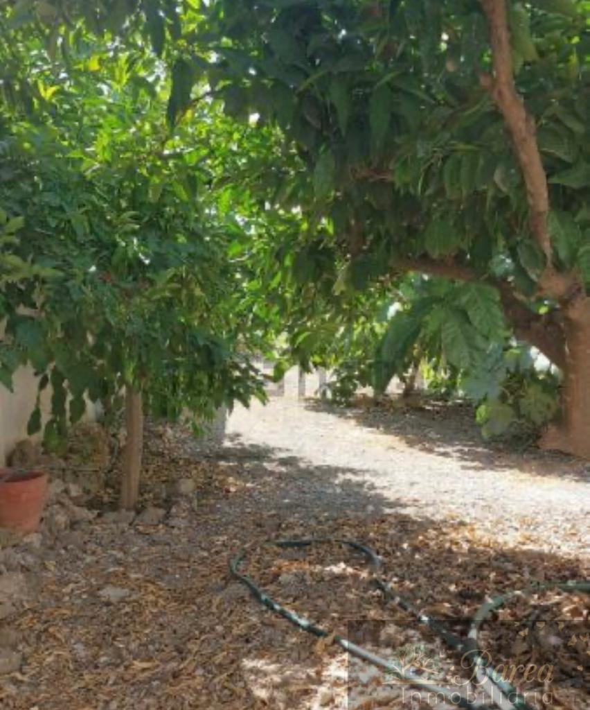For sale of house in Rute