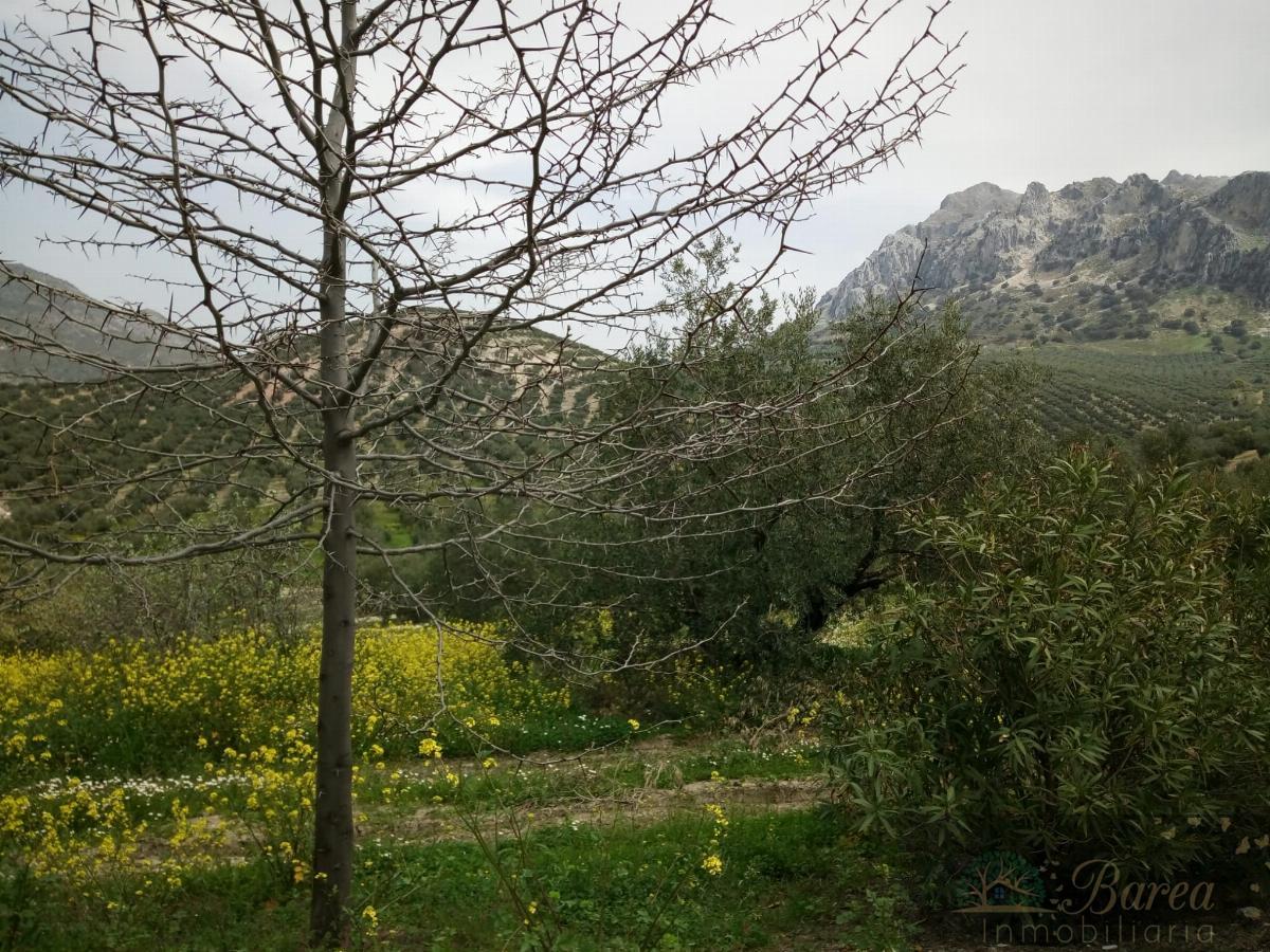 For sale of chalet in Rute