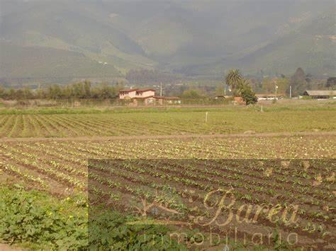 Salgai  lurrera  Rute