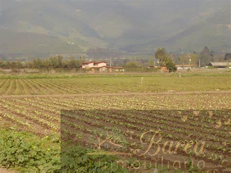 Venta de terreno en Rute