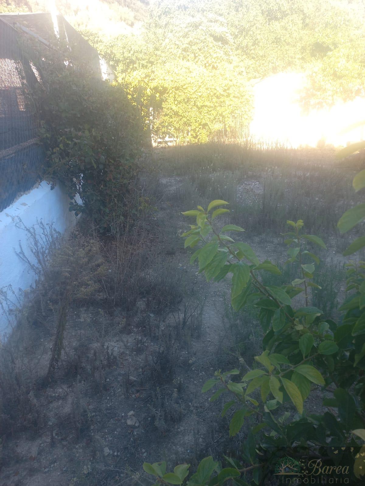 For sale of house in Rute