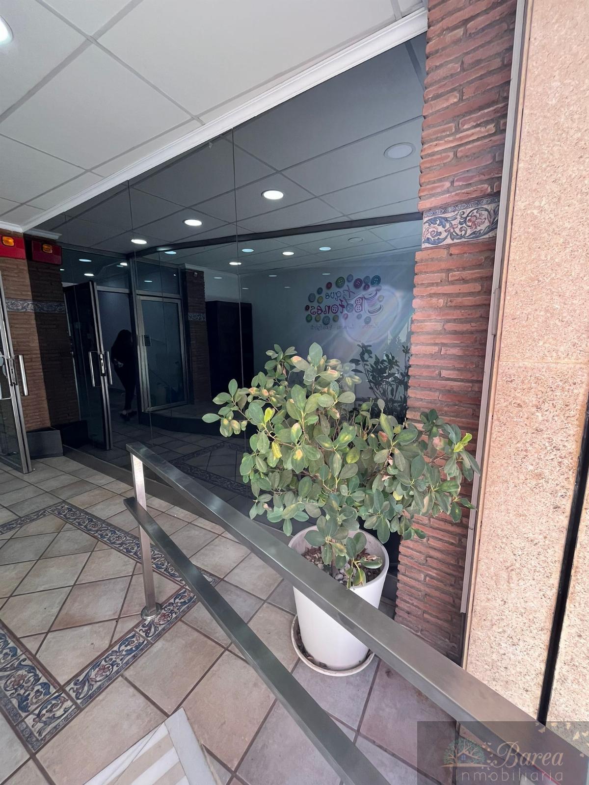 For rent of commercial in Rute