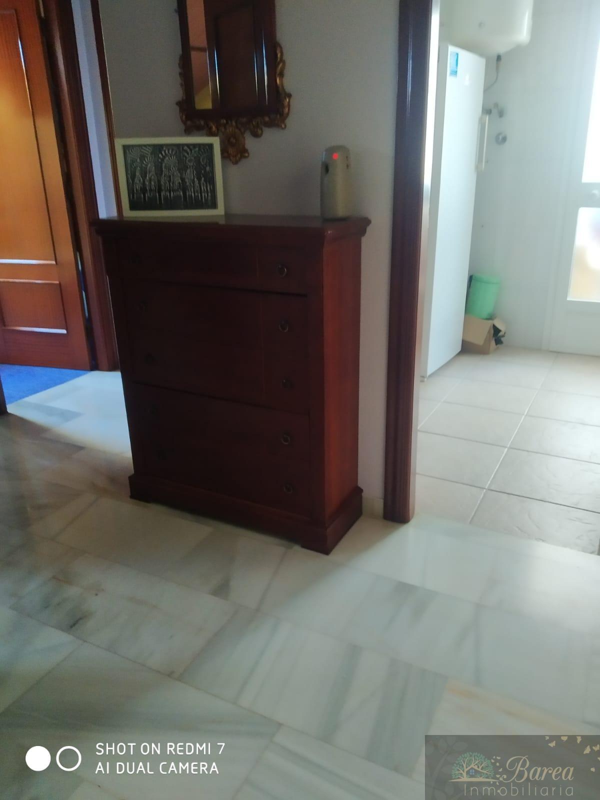 House body
