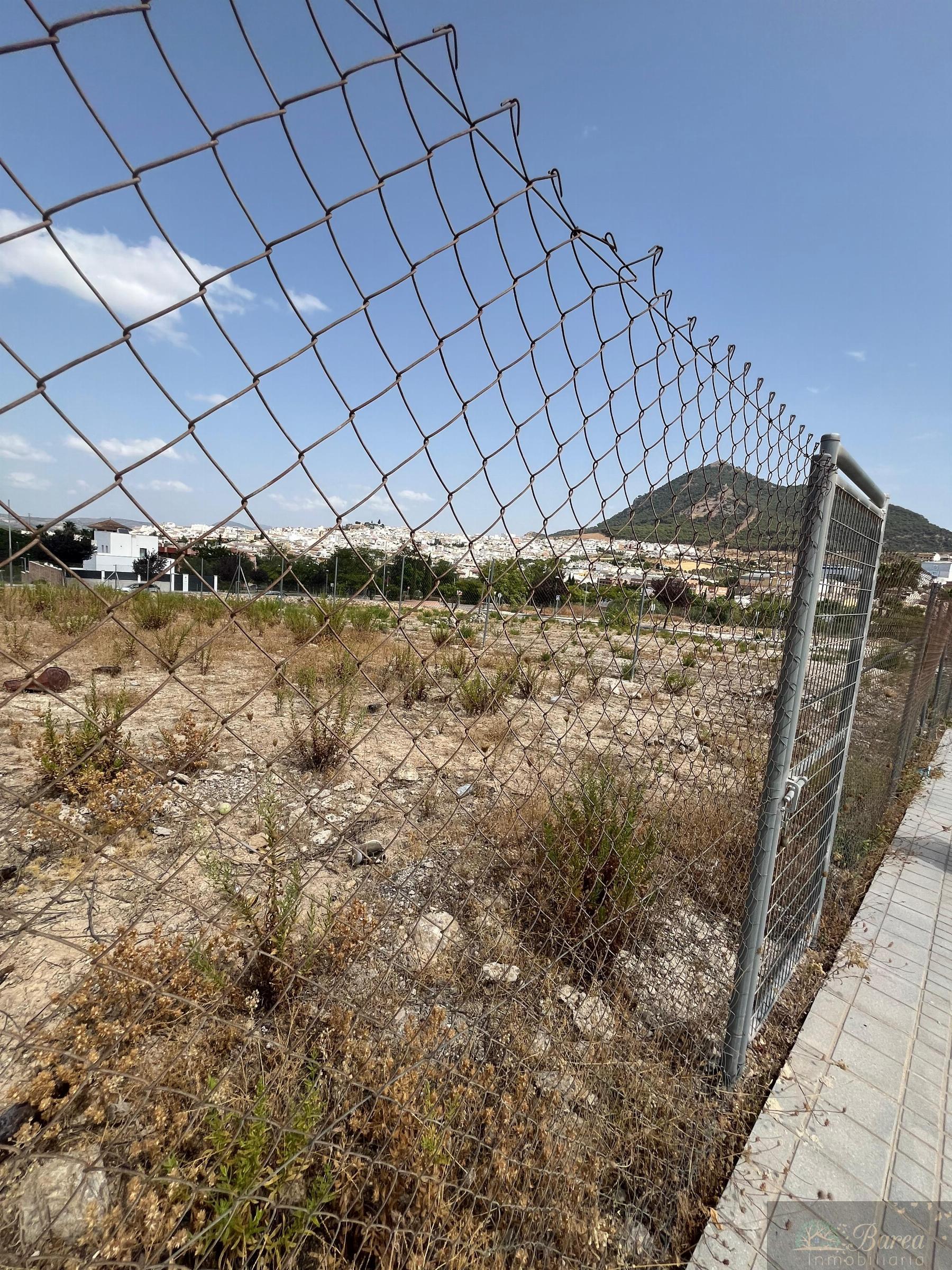 Venta de terreno en Rute