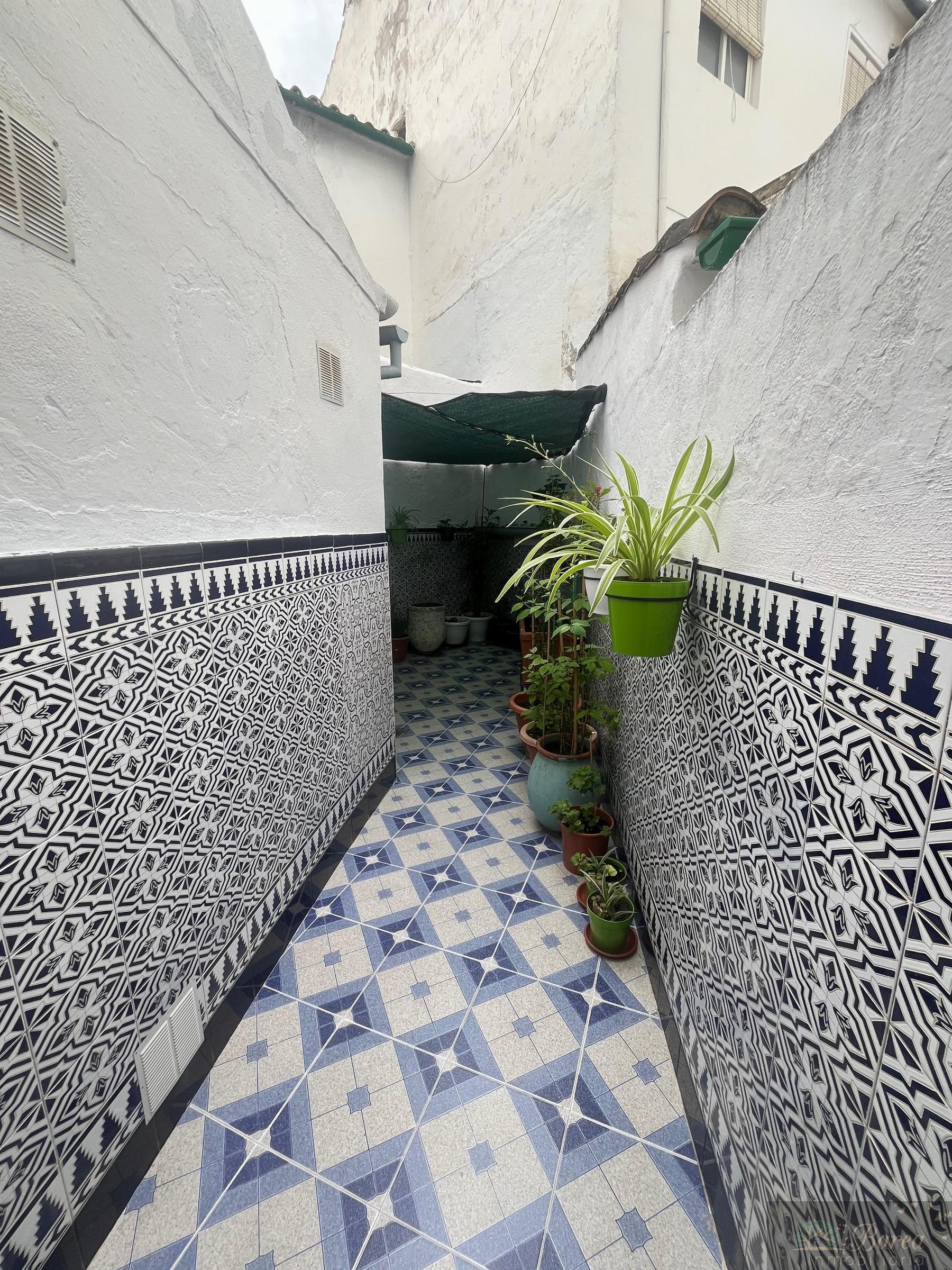 Patio Patio