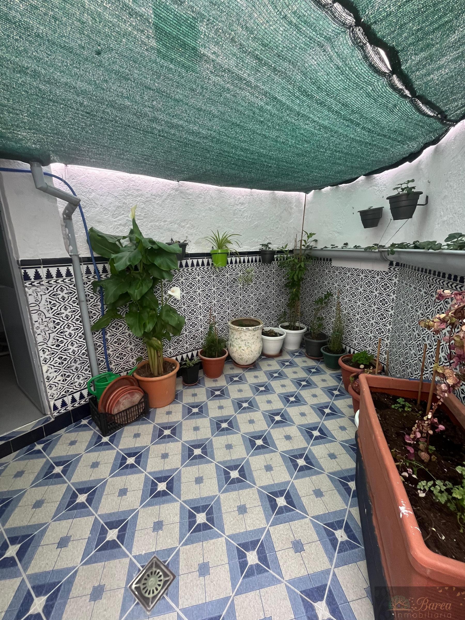 Patio Patio