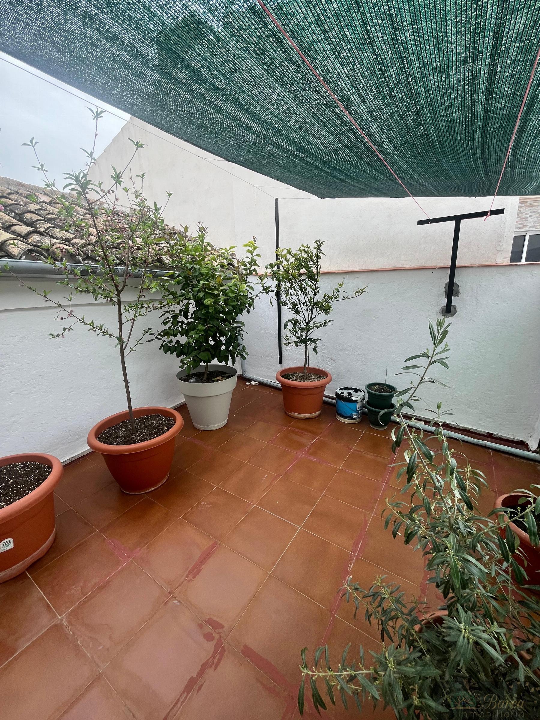 Terraza Terraza