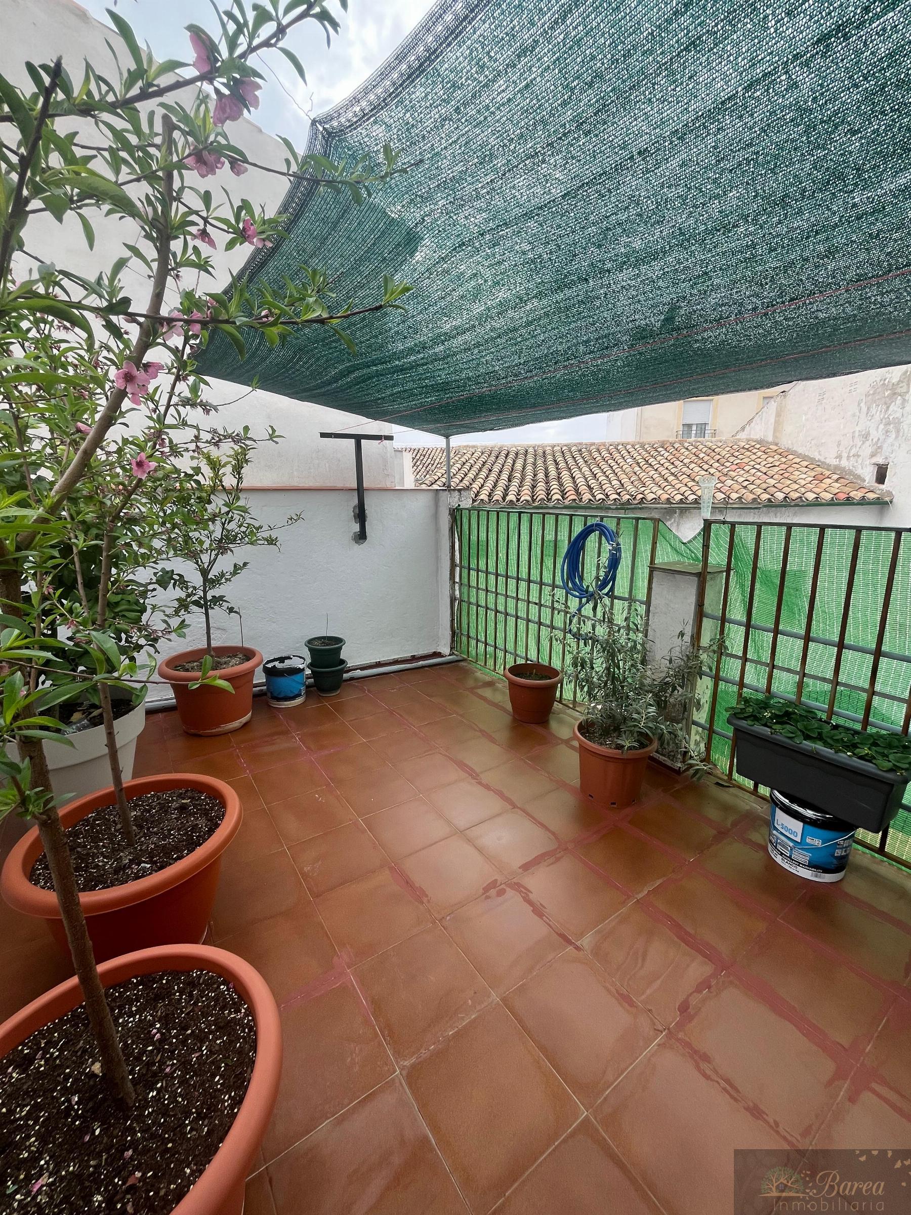 Terraza Terraza