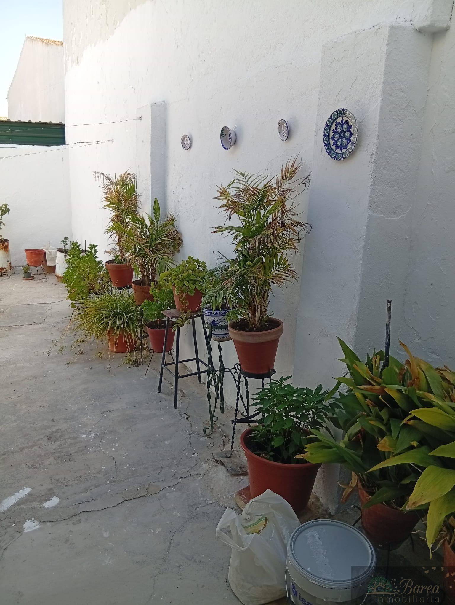 Venta de casa en Rute