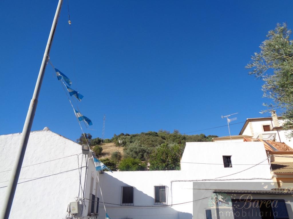 Vistas