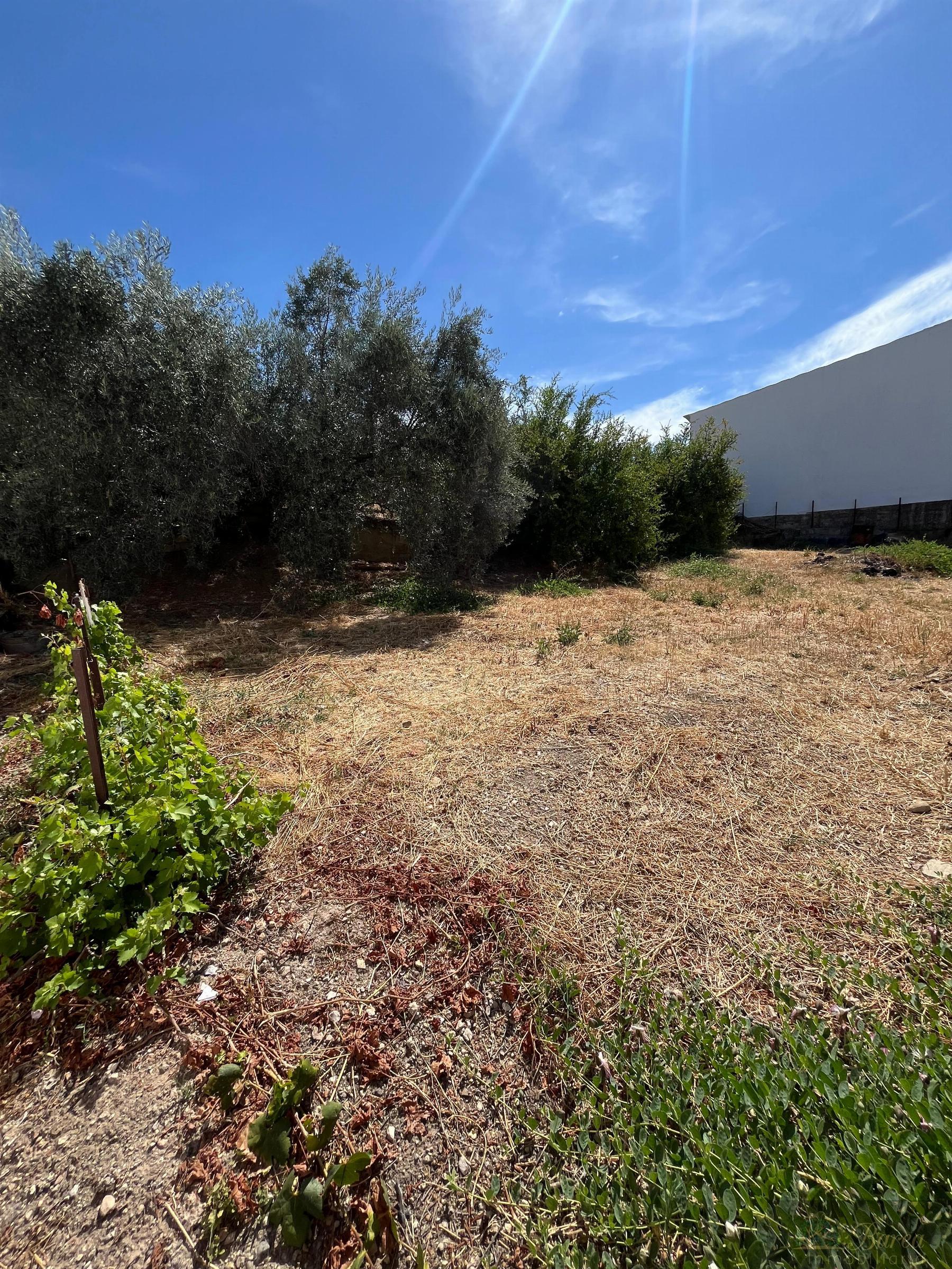 Venta de casa en Rute